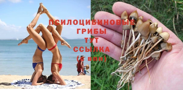 прущая мука Козловка