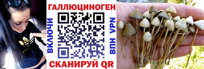Галлюциногенные грибы мухоморы Славянск-на-Кубани